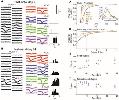 Uncorrelated Neural Firing in Mouse Visual Cortex during Spontaneous Retinal Waves